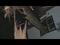 Storm damage Suspected tornado damages business homes across Georgia