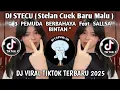 Download Lagu DJ STECU (Stelan Cuek Baru Malu) - 3 PEMUDA BERBAHAYA Feat SALLSA BINTAN