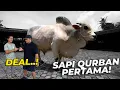 Lagu BARU SAMPE SETIA FARM LANGSUNG DEAL 1 SAPI QURBAN..!