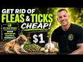 Cheapest Heart Worm Flea Tick Prevention ONLY 1 a MONTH