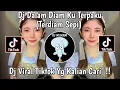 Download Lagu Dj DAlam DIAM KU TERPAKU MENGINGAT KISAH KITA | DJ TERDIAM SEPI Viral Tik Tok Terbaru !!
