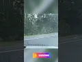 Idiots in Cars Car Crash Idiots In Cars Compilation Car Fail