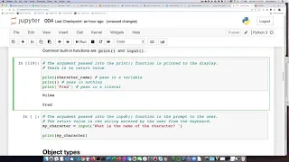 004d Built-in functions print and input