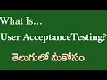 What is User Acceptance Testing Manual Testing Tutorial For Beginners 0