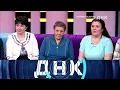 Download Lagu ДНК. От 03.07.2025 | «Две семьи одной дочери»