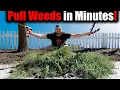 PULL WEEDS FAST - 2 easy steps