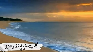 صلى عليك الله يا خير الورى نشيد جميل جدا مع الكلمات 