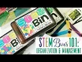 STEM Bins 101 Organization and Management