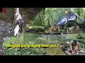 Download Lagu CAMPING SURVIVAL MASAK HASIL BURUAN DI HUTAN RIMBA KAlIMANTAN MP3