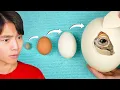 Hatching the World s Biggest vs Smallest Eggs