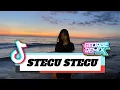 Lagu DJ STECU STECU FYP 2025 !!!! ( GEORGE REMIX )