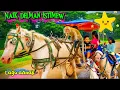 Naik kuda delman Istimewa | Full Lagu Anak-Anak Ceria \u0026 Edukatif untuk Si Kecil\