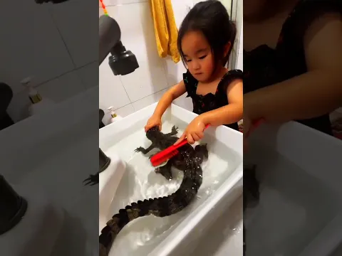 😲 The Little Girl's Unusual Friend, a Baby Crocodile