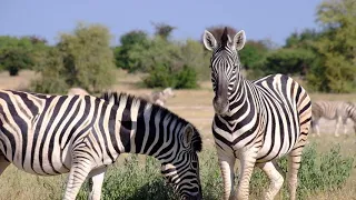 namibie