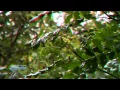 Download Lagu 3D And the rain continues  music Sergey Grischuk