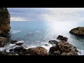 Chapter 3 of the book of 1 Peter - New King James Version NKJV