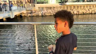 Una tarde en el National Harbor 