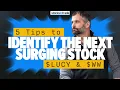 5 Tips to Identify the Next Surging Stock LUCY and WW