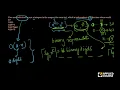 Solved Problem 1 Linear Time Sorting DS Algorithms Appliedcourse