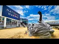 Exploring the National Harbor near Washington DC