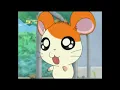 Download Lagu Hamtaro Hai Episode 24 - Kakak Yang Sedang Bingung - Bahasa Indonesia