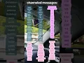 Download Lagu Your doppelganger is going DOWN.