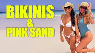 They’re Back! Crew Returns to Paradise & Heads Straight to the Pink Sand Beach 🌴👙
