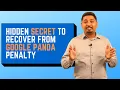 Google Panda Update Explained Secret To Recover Your Website From Google Panda Penalty