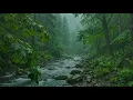No Ads. Soothing Rain on Flowing Stream & Gentle Wind in Forest | ASMR Rain Sound in Nature