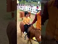 Download Lagu Cimory Dairyland, naik kuda poni #cimorydairyland #shorts  #diaryfathiyya
