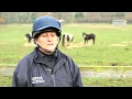 What does the horse adoption fee cover