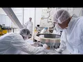 Meet our Arizona Employees