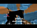 تصميم شيلة ❤️غريب ال مخلص ❤️حب دايم ❤️افـهـقي عن وجـهـك اللـيـل العـتيم♥️حالات واتس اب 202‪3