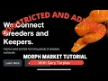 MorphMarket Tutorial