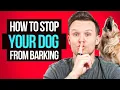 How to stop your dog from barking forever