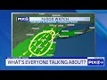NYC Weather Alert Damaging Winds and Heavy Rain Hit Today PIX11 Forecast Focus