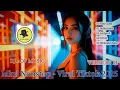 Download Lagu Mini Nonstop - Viral TikTok V14