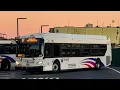 New Jersey Transit Bus Compilation at Hoboken