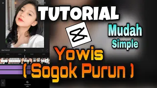 Download Tutorial Edit Foto Capcut - PAKE LAGU YOWES ( SOGOK PURUN ) MP3