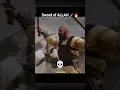 Download Lagu Saifullah 🗡️🔥 Khalid bin Waleed R.A #shorts
