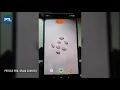 Petiole Pro Grain Counter - Brief intro about Computer Vision tool to count grains and seeds