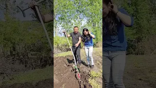                                                     دندنها