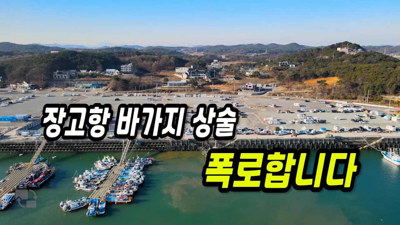 캠핑의 성지 장고항, 바가지 실체 공개합니다 サムネイル