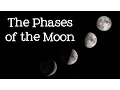 Phases of the Moon Astronomy and Space for Kids - FreeSchool
