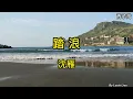沈雁 - 踏浪(歌詞)