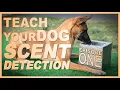 How to Teach Your Dog Scent Detection Episode 1
