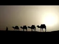 ميحد حمد سلام لهل عمان