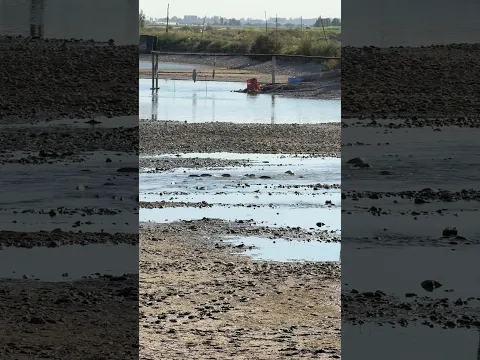🐠🐠🐠