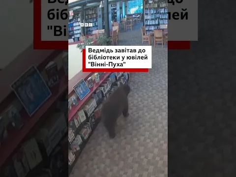Ведмідь завітав у бібліотеку в ювілей виходу в світ книги про Вінні-Пуха #shorts