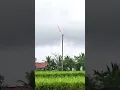 Download Lagu dahsyat nya bekas sambaran petir ⚡⚡ pohon kelapa ini hanya tersisa batang nya saja#shrots
